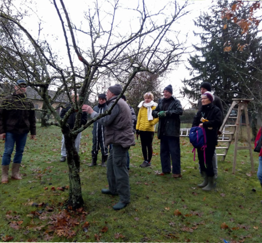 3 personnes participant à l'atelier Nichoir et 1 personne qui effectue une greffe dans un atelier taille des arbres